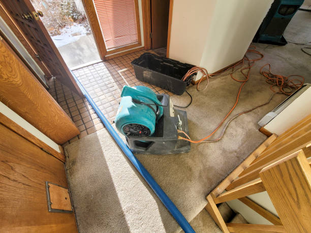 Best Ceiling water damage repair  in Wheelersburg, OH