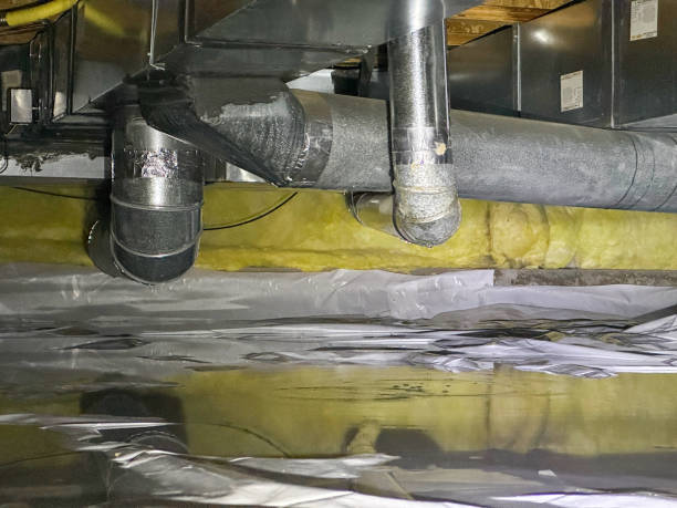 Best Sewage cleanup and water damage restoration  in Wheelersburg, OH